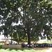 Mucwini Massacre Memorial Prayer 3 • <a style="font-size:0.8em;" href="http://www.flickr.com/photos/51128861@N03/6001322856/" target="_blank">View on Flickr</a>