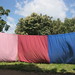 Peace Day 2 • <a style="font-size:0.8em;" href="http://www.flickr.com/photos/51128861@N03/6213355641/" target="_blank">View on Flickr</a>